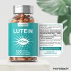 Lutein Supplement | 40mg Eye Complex | 120 Vegan Capsules