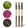 REN JIAN YOU WEI Incense, Sandalwood, Agarwood, Fruity Floral Scent,
