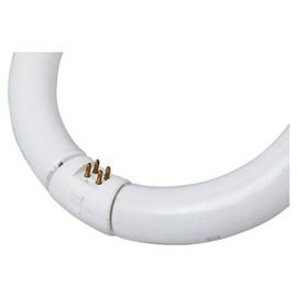 GE Lighting 32 watts T9 12 in. L Fluorescent Bulb Warm White Chandelier 3000 K 1 pk