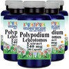 Polypodium Leucotomos Extract 240mg 5X200 Capsules by Vitamins Because