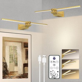 doublacy 2 Pack Picture Light for Wall, 18in Rechargeable Wall Art Light with Timer and Dimmable, Painting Frame Light with Remote Control Display for Wall Painting, Frame, Portrait, Dartboard (Gold)