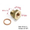 Epman 2PCS 1/8" Female NPT to M14x1.5 Male Brass Pressure