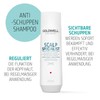 Goldwell Dualsenses Scalp Specialist Anti-Dandruff Shampoo for Sensitive Scalp and