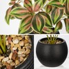 2 Packs Artificial Plants in Black Pot, 12" Faux Plant