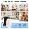 Luripid 2 Pack T10i Replacement Filter, Compatible with Blueair Comfortpure