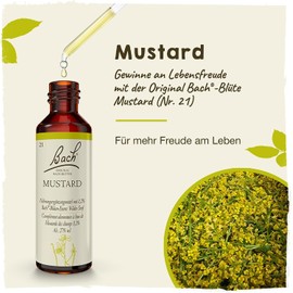 Original Bach flower drops no. 21 Mustard: Become cheerful and relaxed with Bach Blossom Wild Mustard, 20 ml.
