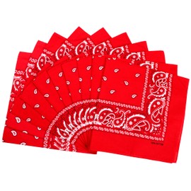 FANNI YOUPIN 100% Cotton Bandanas/Fashion Scarf for Men & Women Paisley printed Large 10pcs (Red)