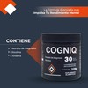 Cogniq Suplemento Alimenticio Treonato de Magnesio y Citicolina 125g 30