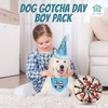 JT PET Dog Gotcha Day Party Pack with Bandana, Star