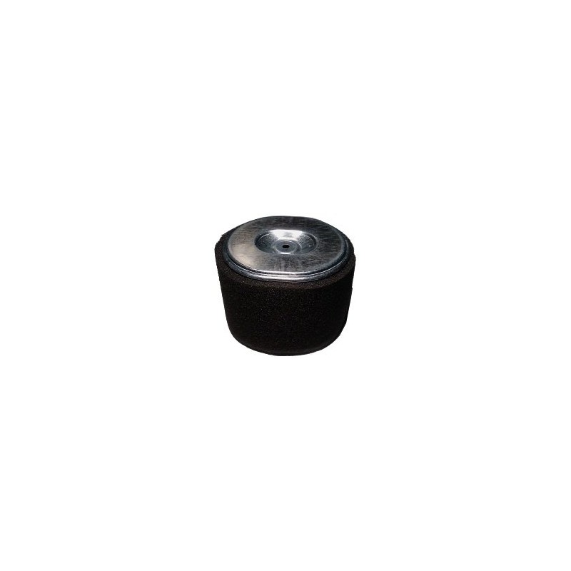 Air Filter Housing with Air Filter Compatible with Honda GX340,