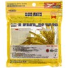 Ecogear #461 Bug Ants 2-Inch Worm Grub & Goby