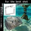 Babester B494-2 Underwater Camera Ball Joint Arm System Lightweight 150mm