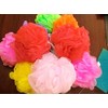 Kriwin Bath Loofah (Assorted Colours, Medium) -Combo of 2