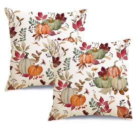 RABUSOFA Fall Pillow Covers 18x18 inch Set of 2,Velvet Pumpkin Pillows Decorative Throw Pillows,Thanksgiving Autumn Pillow Cases(20-18)