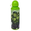 CARTOON Children's Aluminium Water Bottle, 500 ml Bottle with Spout