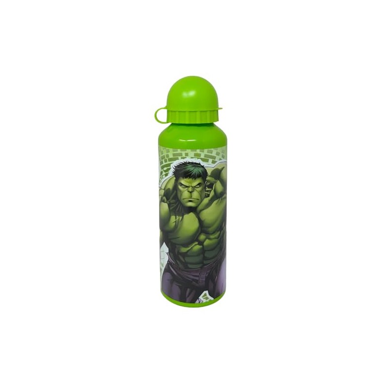CARTOON Children's Aluminium Water Bottle, 500 ml Bottle with Spout