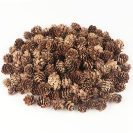 TaoQ C 120 PCS Pine Cones Decorations, Natural Pine Cones Bulk - Mini Pine Cones Christmas Pine Cones for Table Christmas Tree Crafts Gifts Thanksgiving Fall and Xmas Home Decor