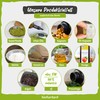 bioKontor Organic Milk Thistle Oil Capsules Vegan 180 Pieces -
