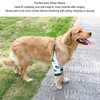 Dog Recovery Front Legs Sleeve Abrasion Resistant Breathable Comfortable Soft