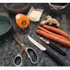 QMBasic Stainless Steel Titanium Scissors in Twin Pack | Kitchen