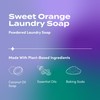 Zum Powdered Laundry Soap by Indigo Wild - Plant-Based Laundry