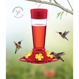 Hummingbird Feeder 10 oz. Plastic Hummingbird Feeders for Outdoors, with Built-in Ant Guard - Circular Perch with 5 Feeding Ports - Wide Mouth for Easy Filling/2 Part Base for Easy Cleaning