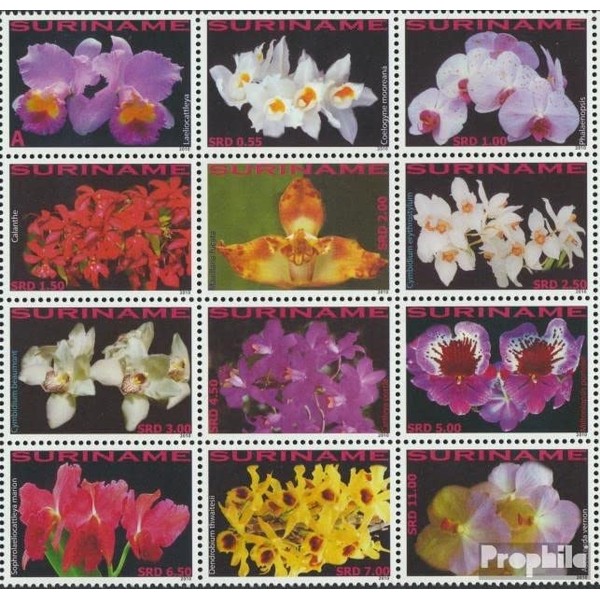 Prophila Collection Suriname 2405-2416 (kompl.Ausg.) Zwölferblock postfrisch ** MNH 2010