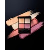 POLA B.A 3D Oasis Eye Color EX01 Sunshine Bouquet [Eye