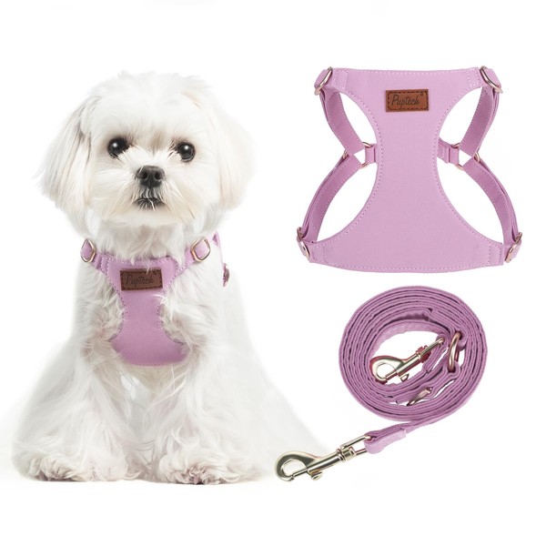 PUPTECK Dog Harness and Leash Set Small Sized, Step-in Cute