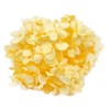 Flawl Ever FL000291-015 Preserved Flowers, Andesan Hydrangea, Soft Yellow, Approx.