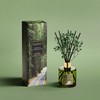 COCORRÍNA Reed Diffuser - Redwood National Park 6.7 Fl.oz Reed