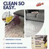 Whip-It All Natural Enzyme Cleaner Stain Fighting Kit - Professional