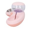 Double Cat Bowls Pet Food and Water Bowl Set Tilted