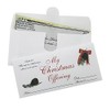 My Christmas Offering - Christmas Tithe/Donation Envelopes - Pine Cone