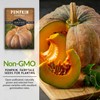 Survival Garden Seeds - Fairy Tale Pumpkin Seed for Planting