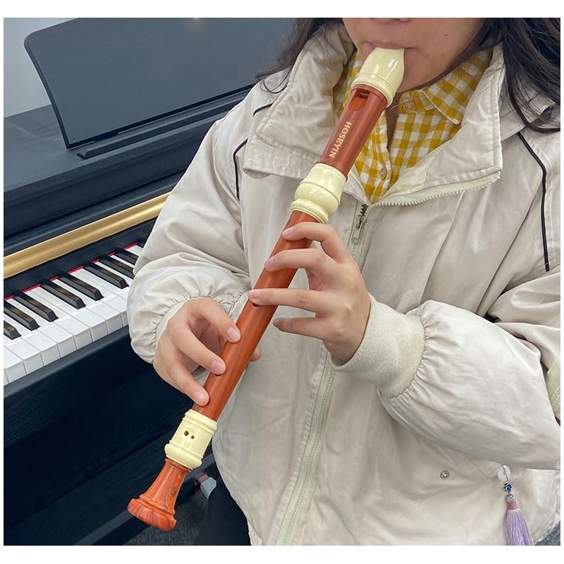 HOSEYIN Alto Recorder Baroque style German style F Key 8