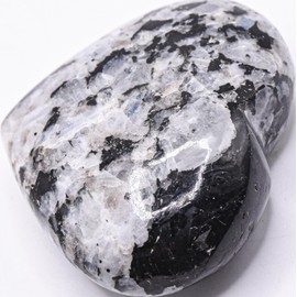 2.5" 120g Rainbow Moonstone w/Tourmaline Carved Heart Polished Natural Blue Flash Sparkling Collectible Gemstone Crystal Mineral Specimen - India + Stand