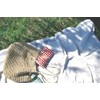 Hyundai Department Store Piatto Leisure Sheet GR Gingham Check A560GR