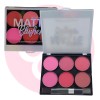 Paleta De Rubor Con Tonos Matte Tono Del Maquillaje Saniye