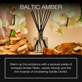 Voluspa Baltic Amber Scented Reed Diffuser, 3.4 oz, Oil Reed Diffusers for Home, Handcrafted in The USA