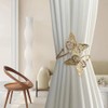Lagnlnaoy 2pcs Metal Butterfly Curtain Tieback DTY Beautiful Curtains Tie