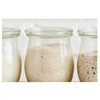 Positively Probiotic Alaskan | Sourdough Starter Culture