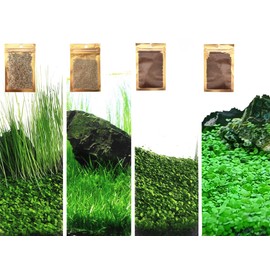 4 Pack Aquarium Plant S.e.e.ds, no Artificial Plastic Plant, Fish Tank Live Grass for All substrates (0.36ozTiny+0.36oz Long+0.36oz Short+0.36oz Big Dual) ZQV-006