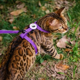 VKPETFR Cat Harness and Leash Set with Airtag Holder for Walking & Travelling, Escape Proof Cat Harness for Small Medium Large Kitten, Adjustable Lightweight Soft Cat Vests (Purple)