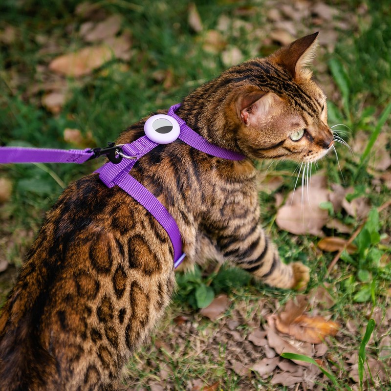 VKPETFR Cat Harness and Leash Set with Airtag Holder for