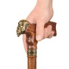 Asterom Cane - Handmade Viking Walking Cane - Canes for
