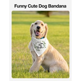 Cgvovgr Funny Soon to Be Big Brother Dog Bandana, White Big Brother Bandana for Dog Pet Dog Triangle Scarf, Gender Revealing Baby Announcement Dog Bandana Dog Lovers Gifts