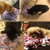 LIVEKEY Pet Snuffle Mat for Dogs, Dog Feeding Mat, Nosework