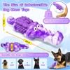 BellaWagg Squeaky Dog Chew Toys for Aggressive Chewers - Tough