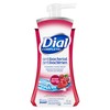 Dial Antibacterial Foaming Hand Wash, Antioxidant Power Berries, 221mL